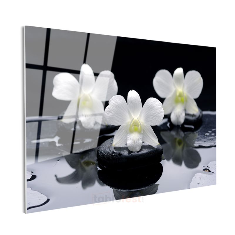 Plumeria Çiçeği - Spa Konseptli Aromaterapi Cam Tablo
