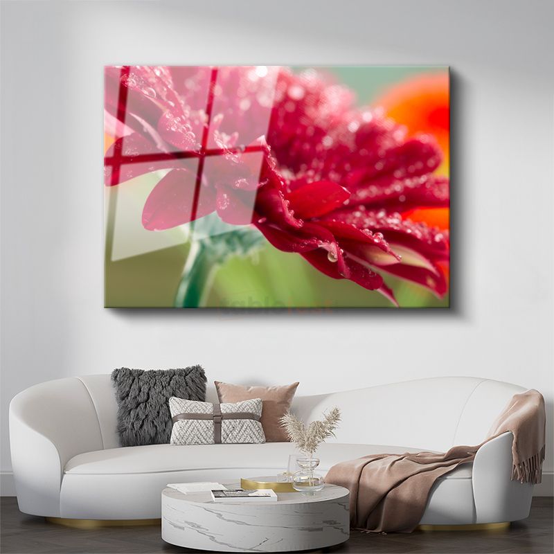 Kırmızı Gerbera - Çiy Damlacıklı Makro Çekim Cam Tablo