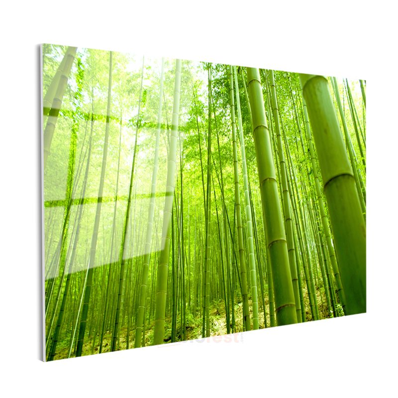 Bambu Ormanı - Canlı Yeşil Tonlarıyla Doğanın Huzuru Cam Tablo