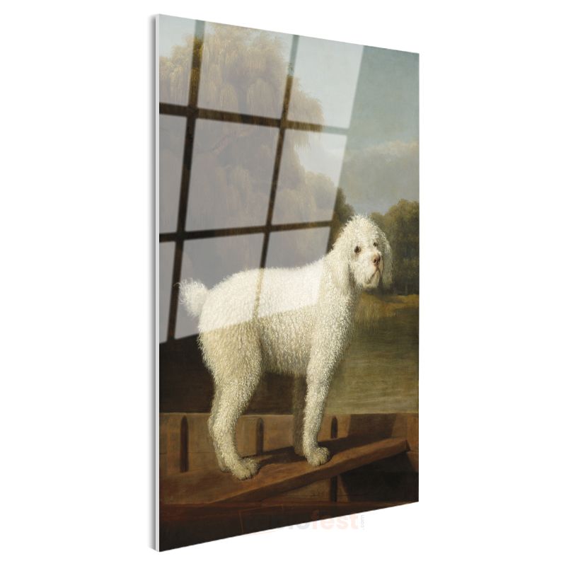 George Stubbs - Beyaz Köpek Portresi Cam Tablo