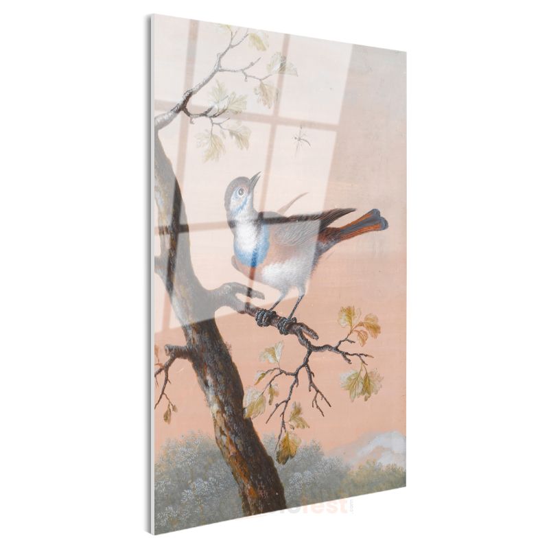 John James Audubon - Mavi Göğüslü Kuş Cam Tablo
