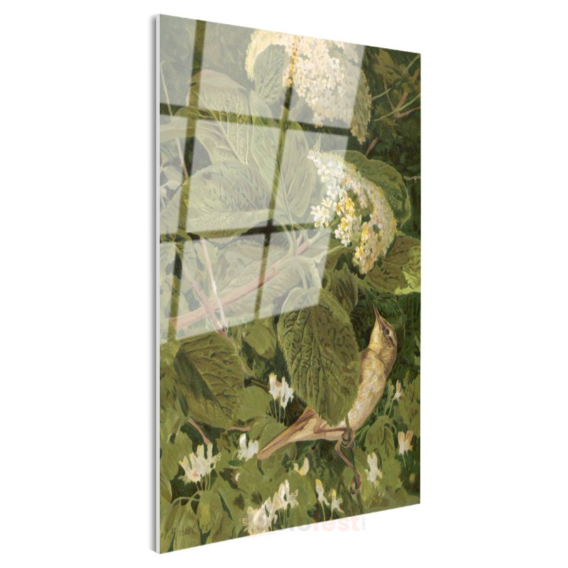 Archibald Thorburn - Çiçekler Arasındaki Kuş Cam Tablo