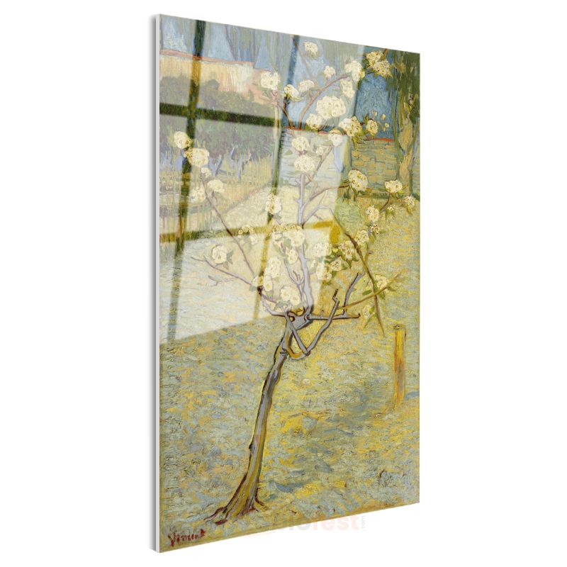 Vincent van Gogh - Çiçek Açan Armut Ağacı Cam Tablo