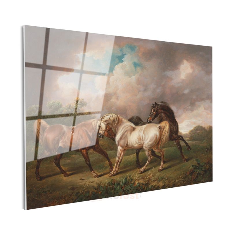George Stubbs - Çayırda Atlar Cam Tablo