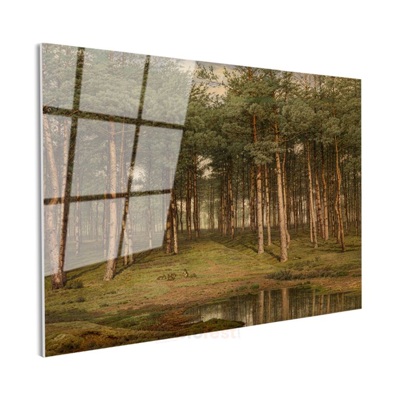 Ivan Shishkin - Çam Ormanı Cam Tablo