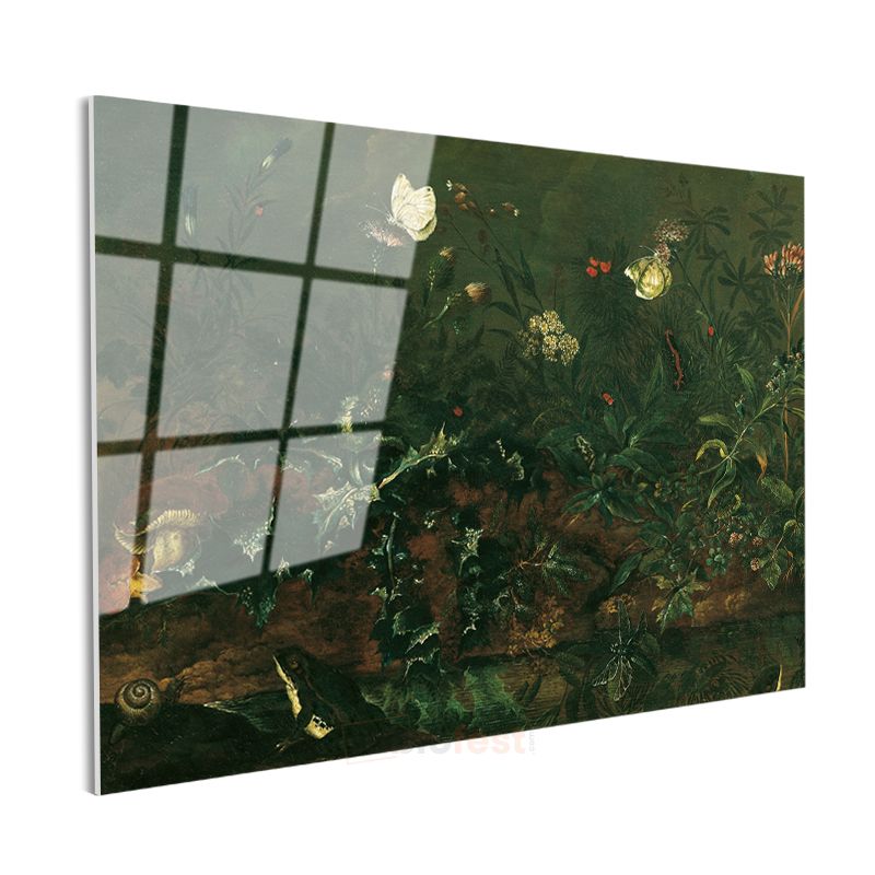 Otto Marseus van Schrieck - Orman Tabanı Cam Tablo