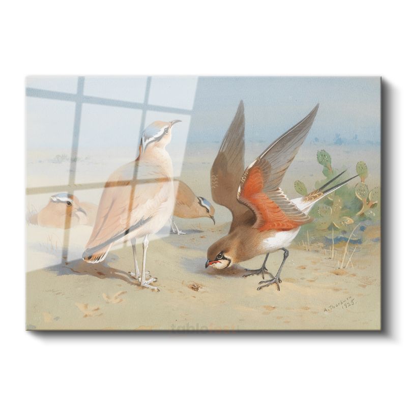 Archibald Thorburn - Çöl Kuşları Cam Tablo