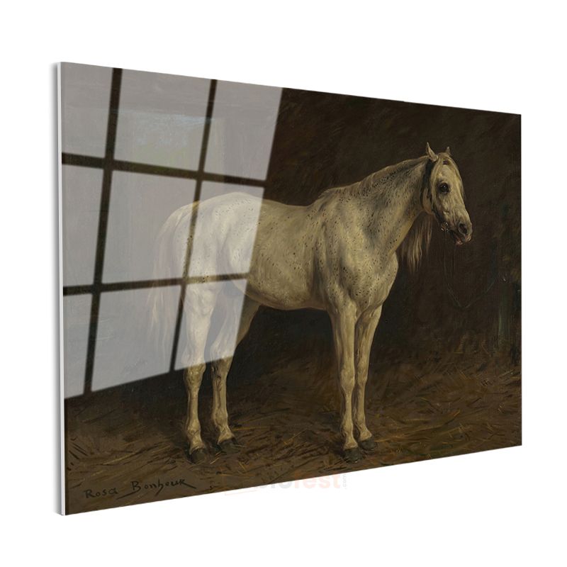 Rosa Bonheur - Beyaz At Cam Tablo
