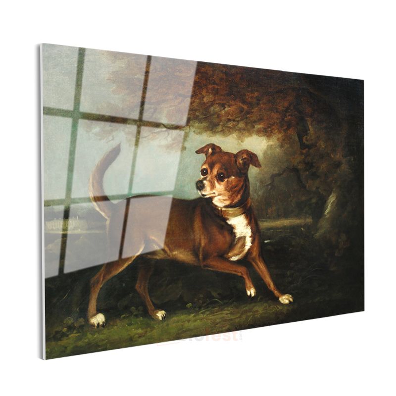 George Stubbs - Manzarada Köpek Portresi Cam Tablo
