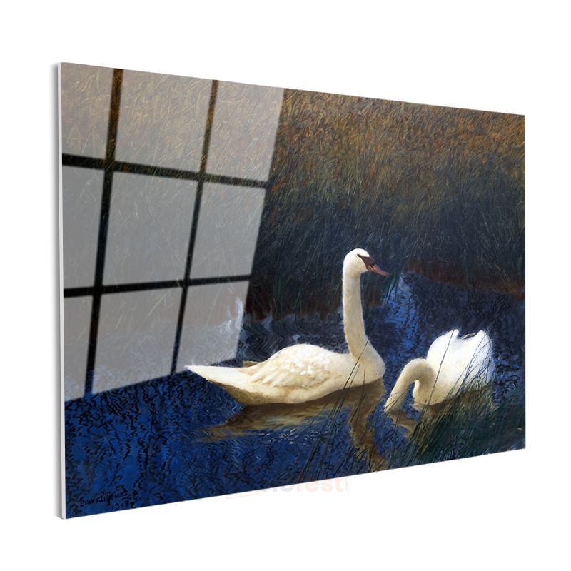 Bruno Liljefors - Swans Cam Tablo