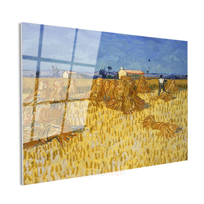 Vincent van Gogh - Hasat Cam Tablo