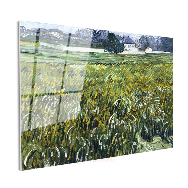 Vincent van Gogh - Buğday Tarlası Cam Tablo