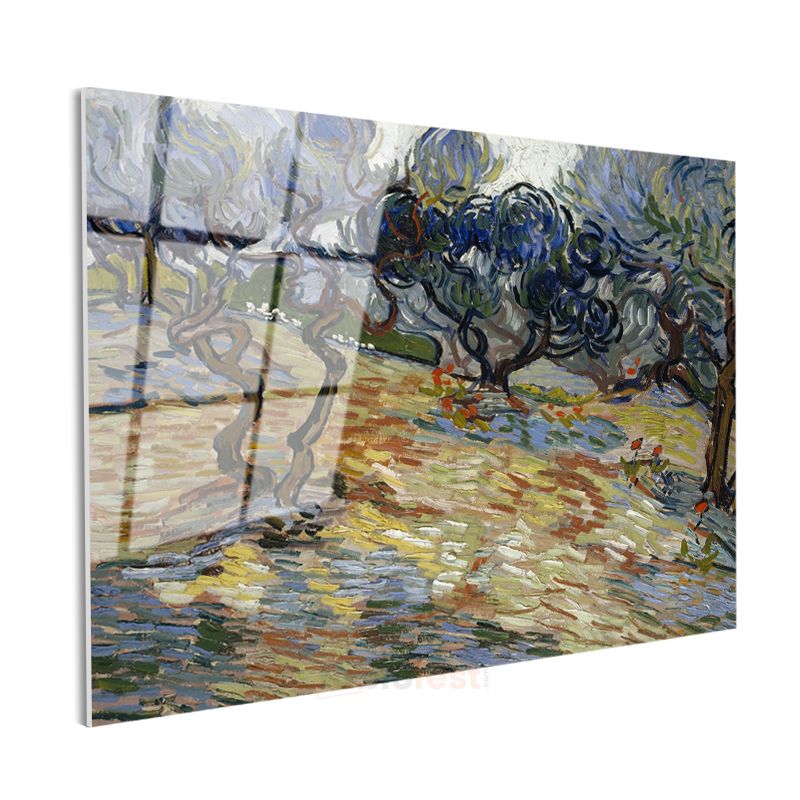 Vincent van Gogh - Zeytin Koruluğu Cam Tablo