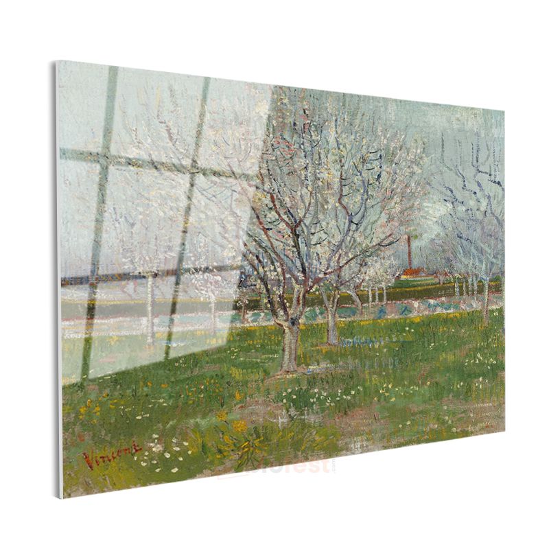 Vincent van Gogh - Çiçek Açan Meyve Ağaçları Cam Tablo