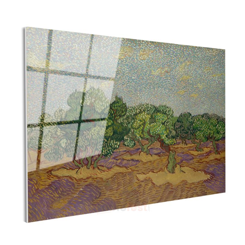 Vincent van Gogh - Zeytin Ağaçları Cam Tablo