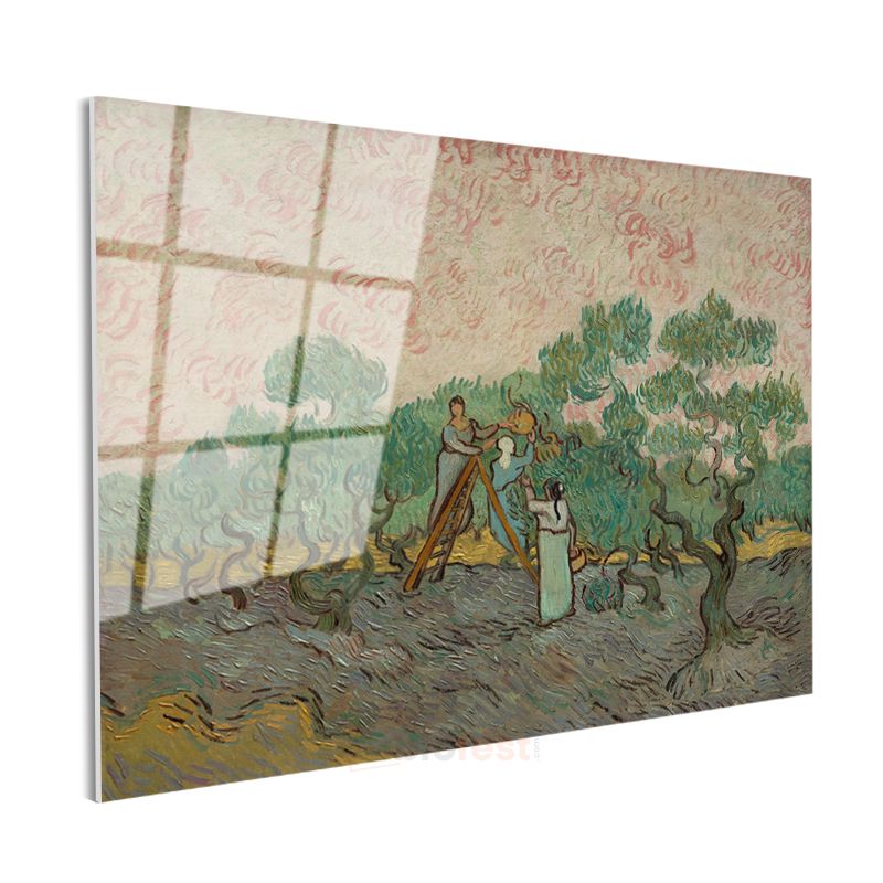 Vincent van Gogh - Zeytin Toplayan Kadınlar Cam Tablo