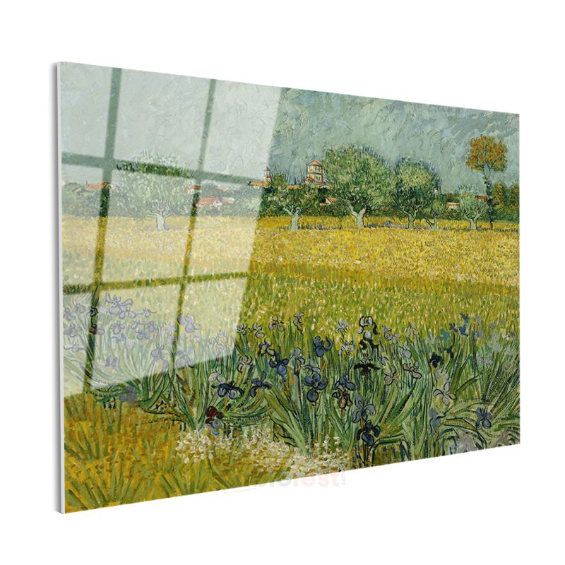 Vincent van Gogh - Arles Yakınlarında Süsenli Tarla Cam Tablo