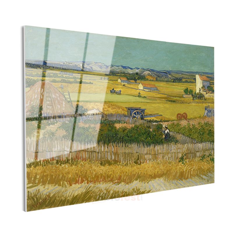 Vincent van Gogh - Hasat Cam Tablo
