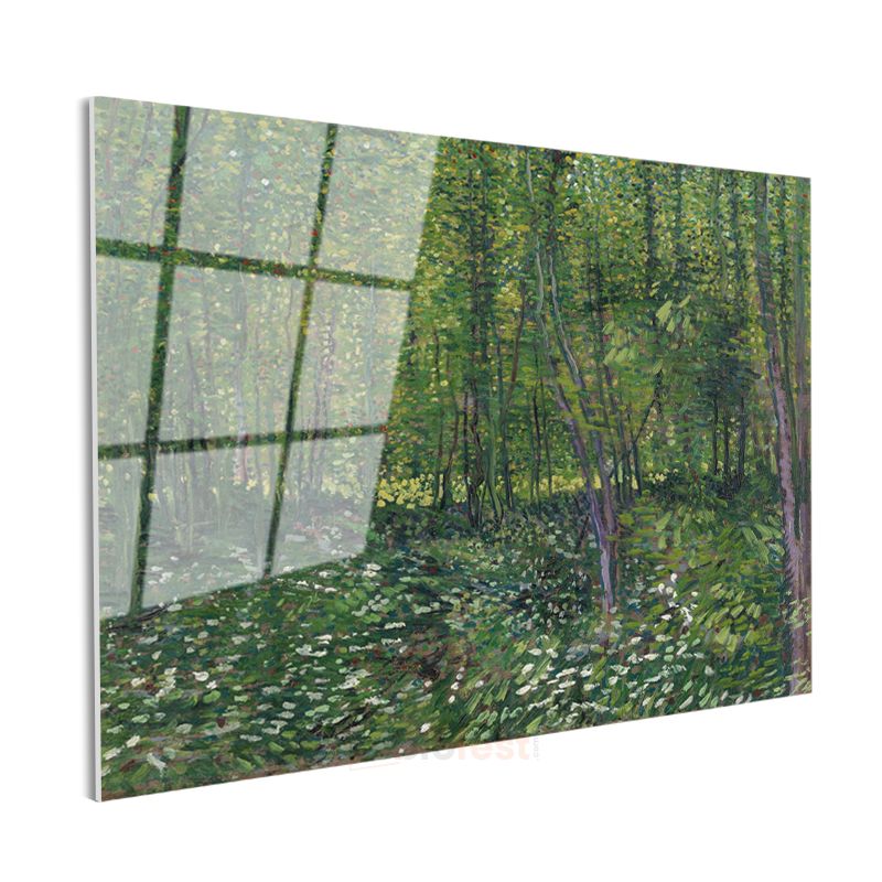 Vincent van Gogh - Ağaçlar ve Çalılık Cam Tablo