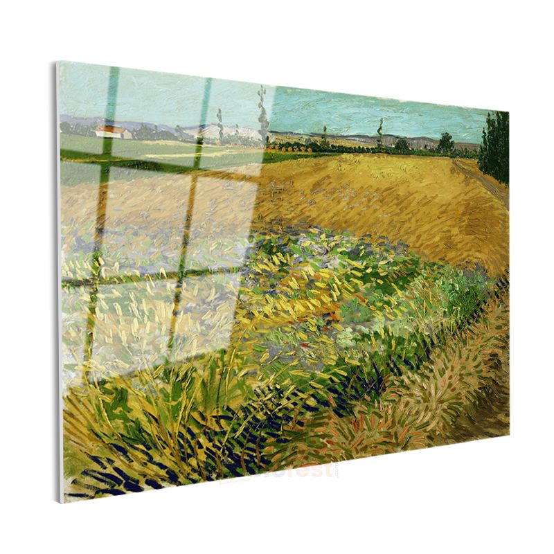 Vincent van Gogh - Buğday Tarlası Cam Tablo