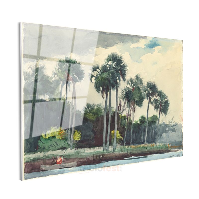 Winslow Homer - Palm Trees Florida Cam Tablo