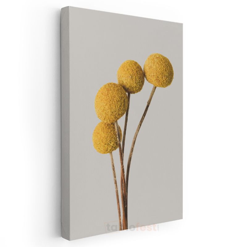 Minimalist Krizantem - Modern Sarı Yuvarlak Çiçek Kanvas Tablo