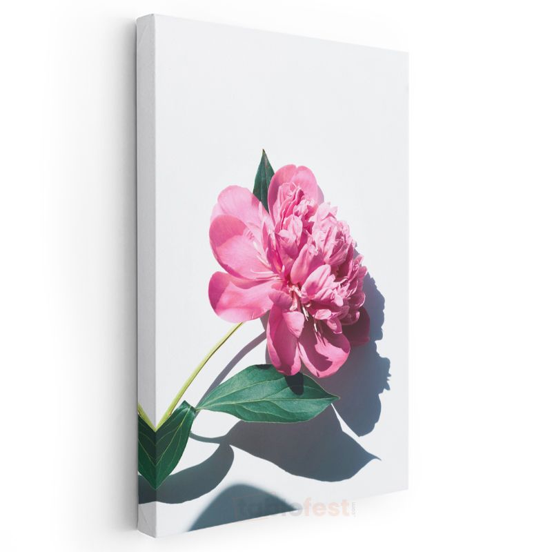 Pembe Şakayık - Modern Botanik Fotoğraf Kanvas Tablo