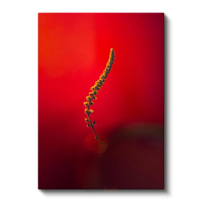 Kırmızı Senfoni - Minimalist Çiçek Dalı Kanvas Tablo