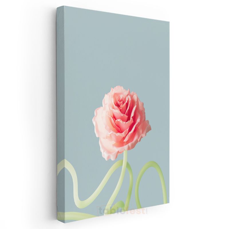 Pastel Gül - Mavi Fonda Minimalist Çiçek Portresi Kanvas Tablo