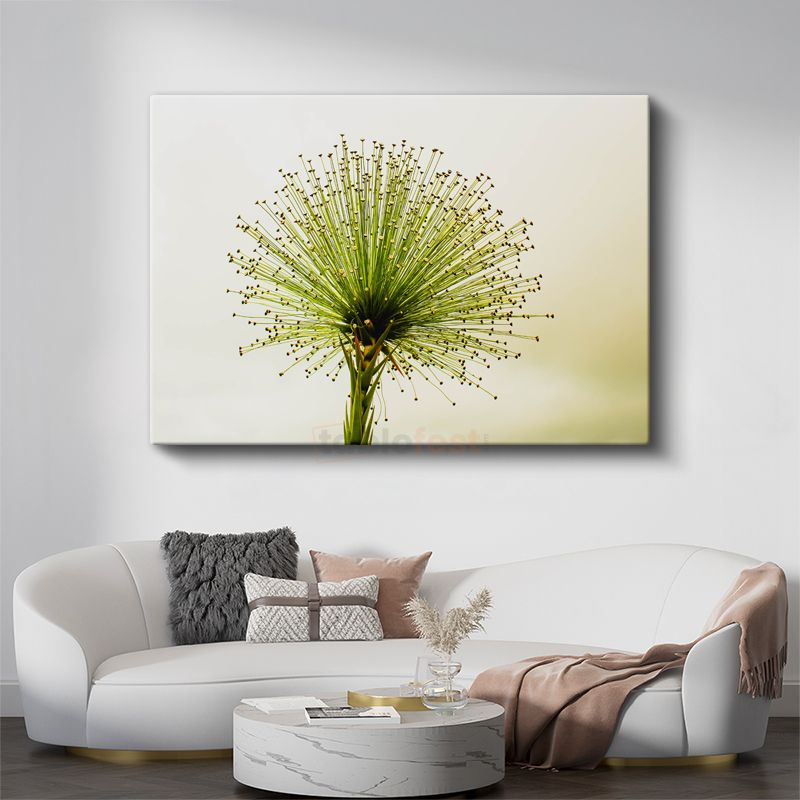 Yeşil Allium - Minimalist Tarzda Çarpıcı Bitki Portresi Kanvas Tablo