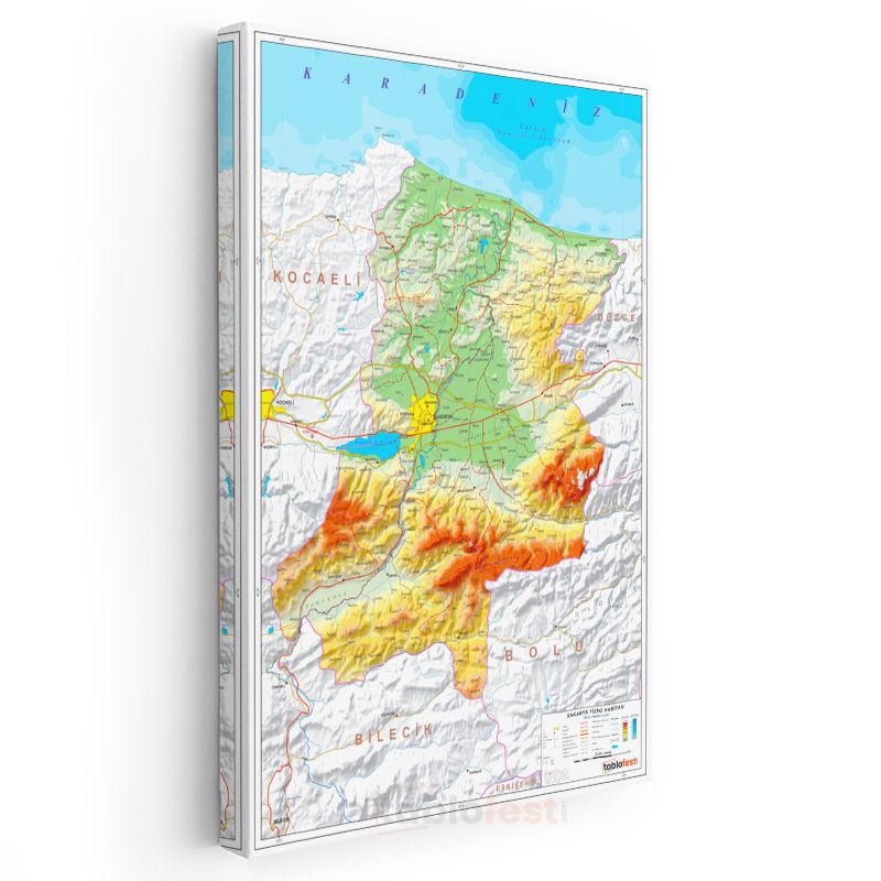 Sakarya - Fiziki Haritası Kanvas Tablo