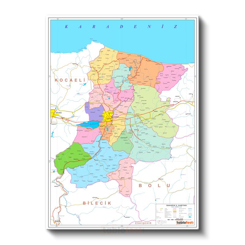 Sakarya - İl Haritası Kanvas Tablo