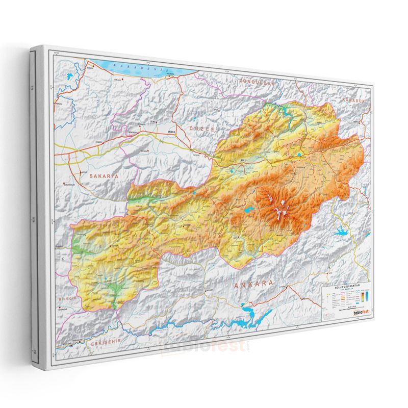 Bolu - Fiziki Haritası Kanvas Tablo