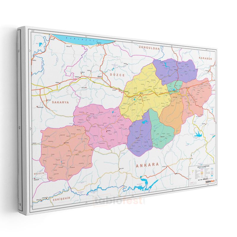 Bolu - İl Haritası Kanvas Tablo