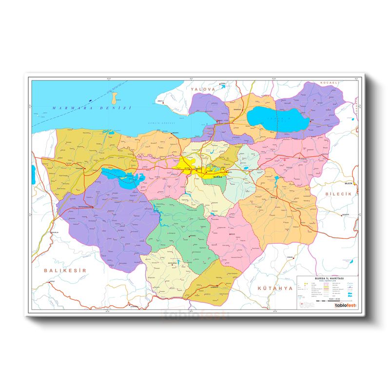 Bursa - İl Haritası Kanvas Tablo