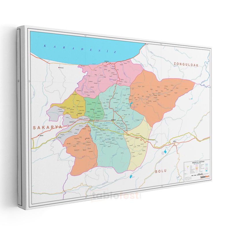 Düzce - İl Haritası Kanvas Tablo