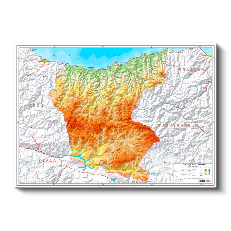 Giresun - Fiziki Haritası Kanvas Tablo