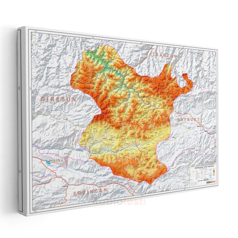 Gümüşhane - Fiziki Haritası Kanvas Tablo