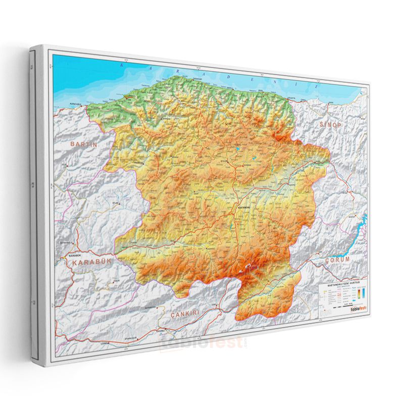Kastamonu - Fiziki Haritası Kanvas Tablo