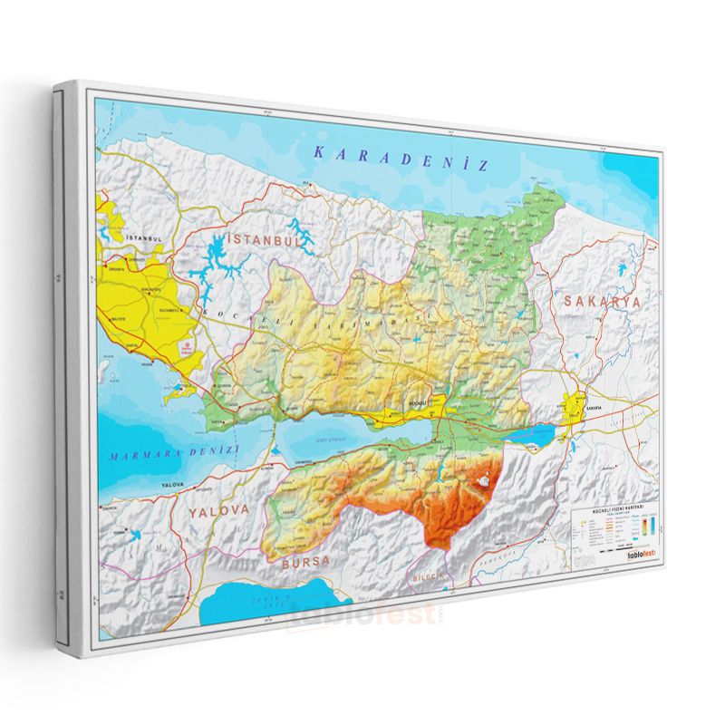 Kocaeli - Fiziki Haritası Kanvas Tablo