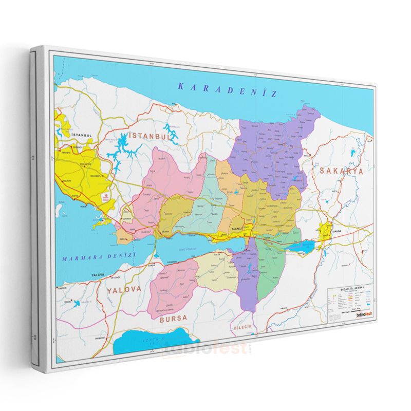 Kocaeli - İl Haritası Kanvas Tablo