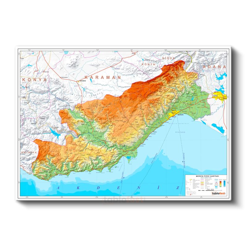 Mersin - Fiziki Haritası Kanvas Tablo