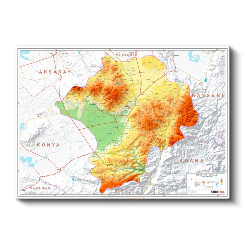 Niğde - Fiziki Haritası Kanvas Tablo