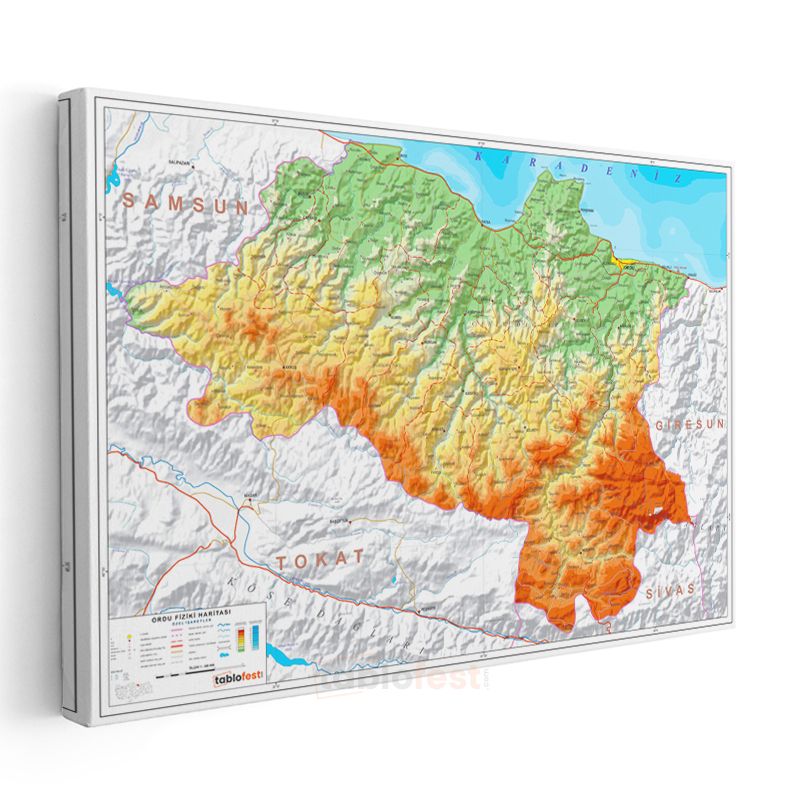 Ordu - Fiziki Haritası Kanvas Tablo