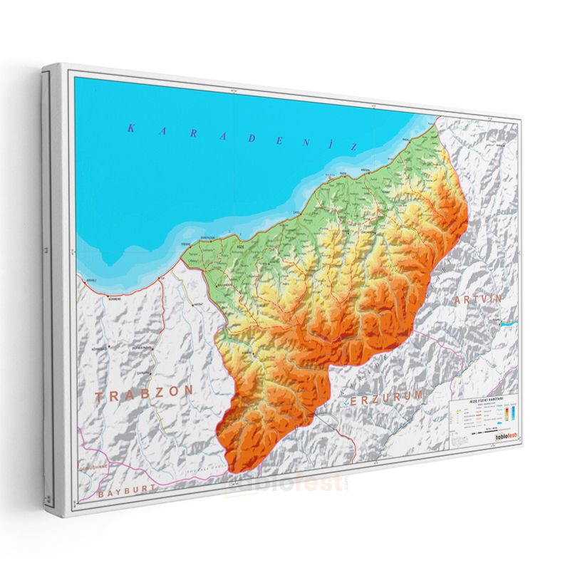 Rize - Fiziki Haritası Kanvas Tablo