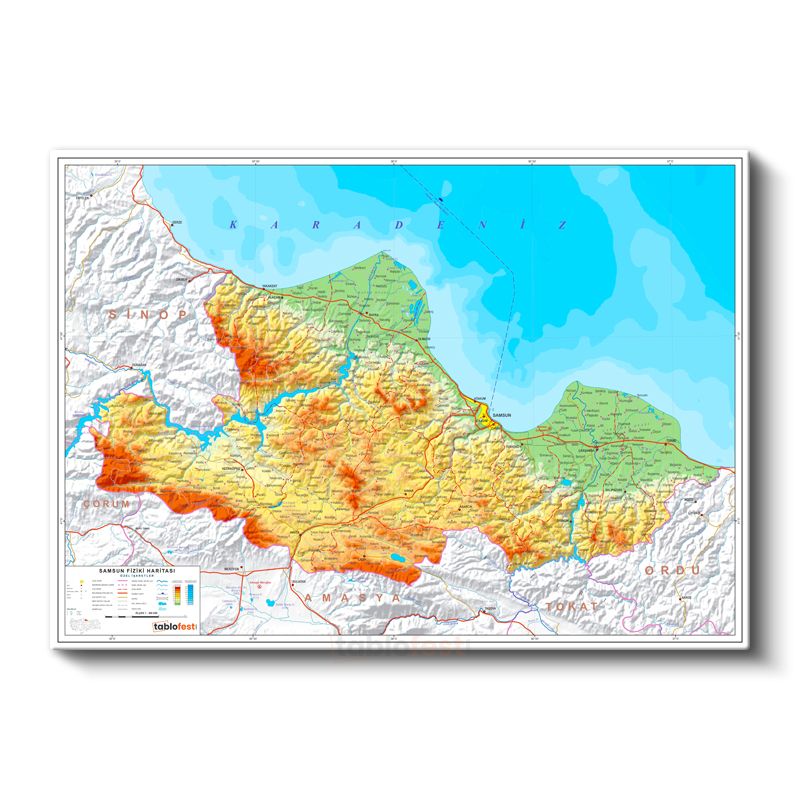 Samsun - Fiziki Haritası Kanvas Tablo