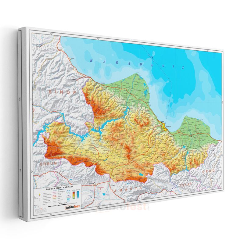 Samsun - Fiziki Haritası Kanvas Tablo