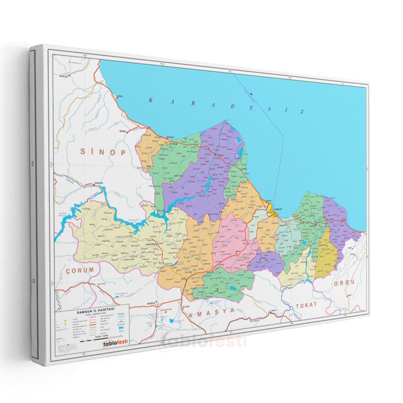 Samsun - İl Haritası Kanvas Tablo