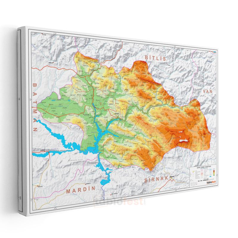 Siirt - Fiziki Haritası Kanvas Tablo