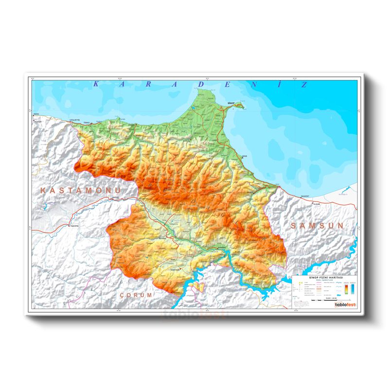 Sinop - Fiziki Haritası Kanvas Tablo